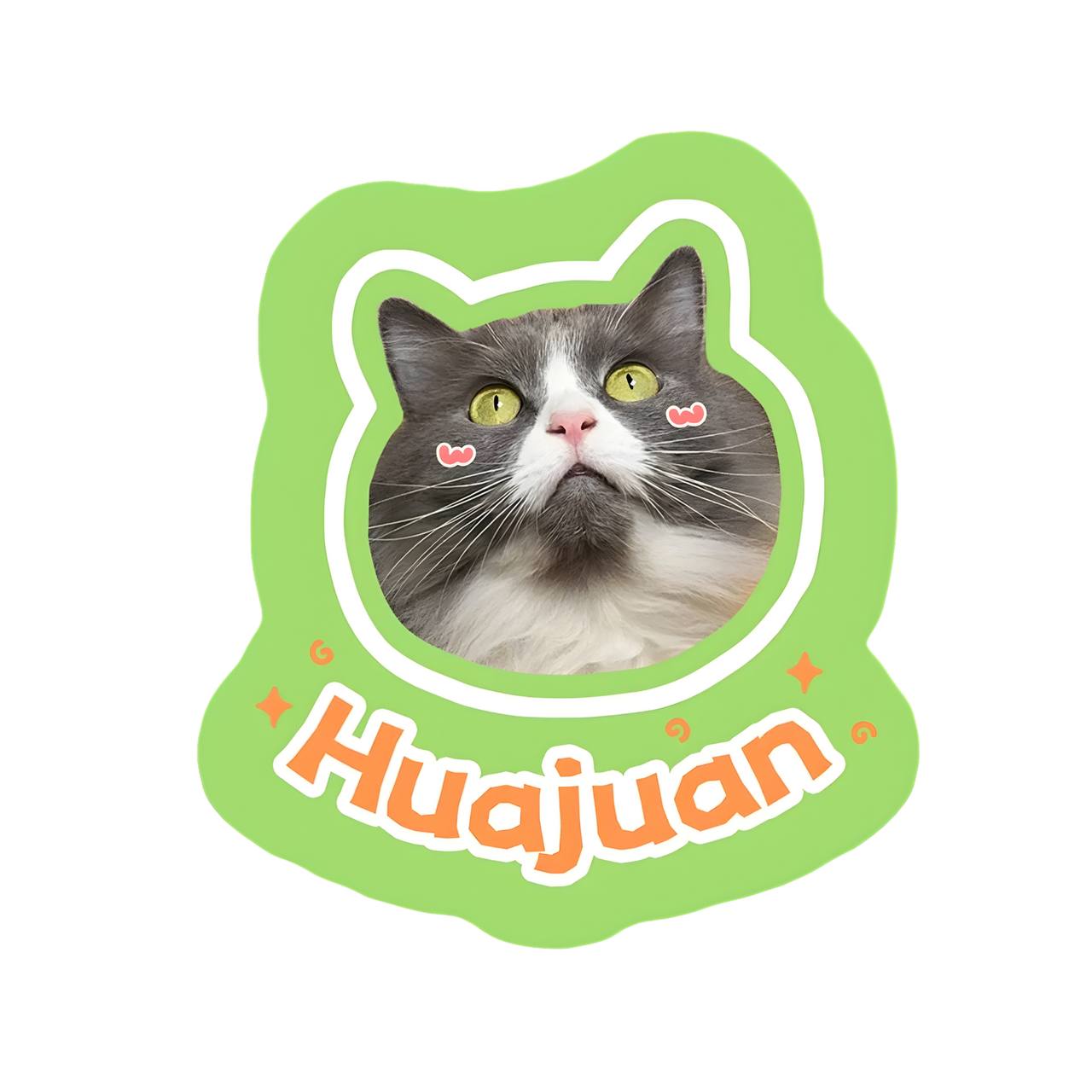 Unique custom pet rug designed from pet picture, cute home decor accent