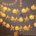 Decorative string lights with starfish and shell designs on a dark background