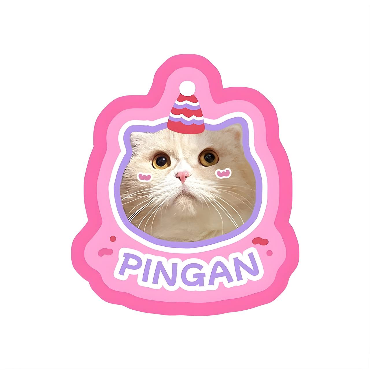Cat with a birthday hat inside a pink frame labeled 'PINGAN' on a white background