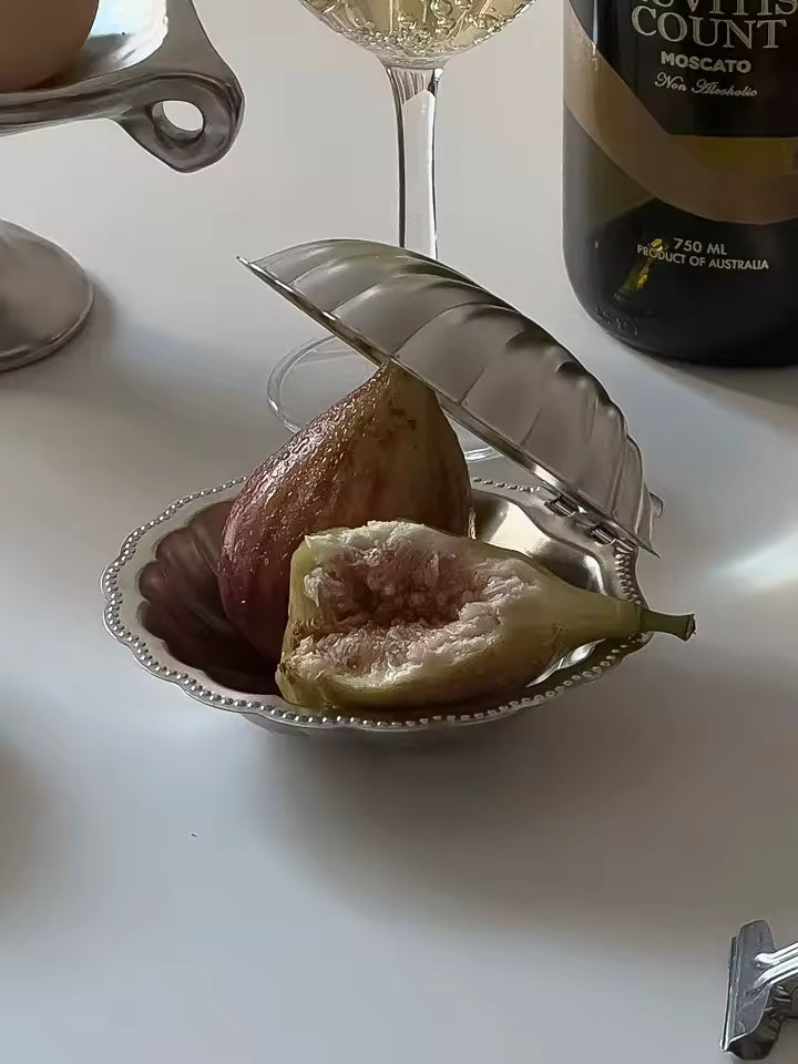 Coastal style shell jewelry box used for rings and watches