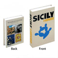Hidden storage box designed as a travel-themed decorative book, opened to show interior space.
