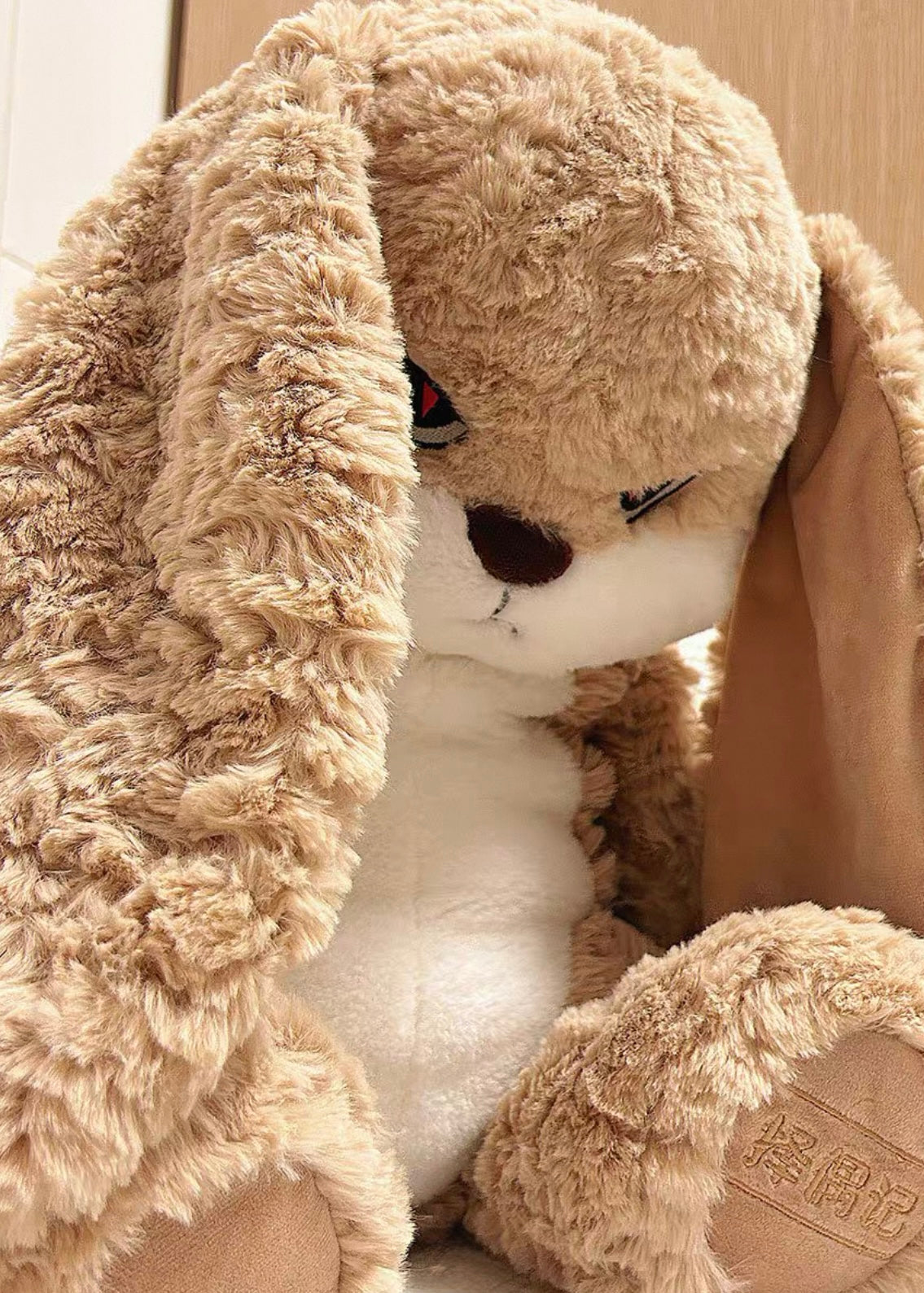 The plush toy in a gift box, ready for special occasions.