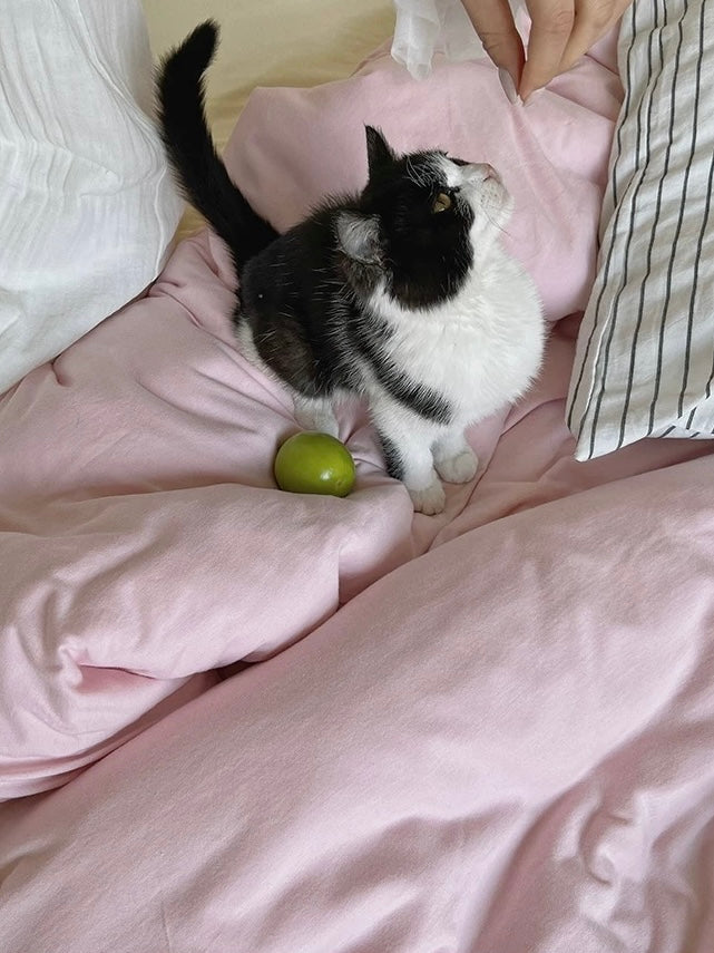 Close-up of light pink cotton duvet cover and black and white cat