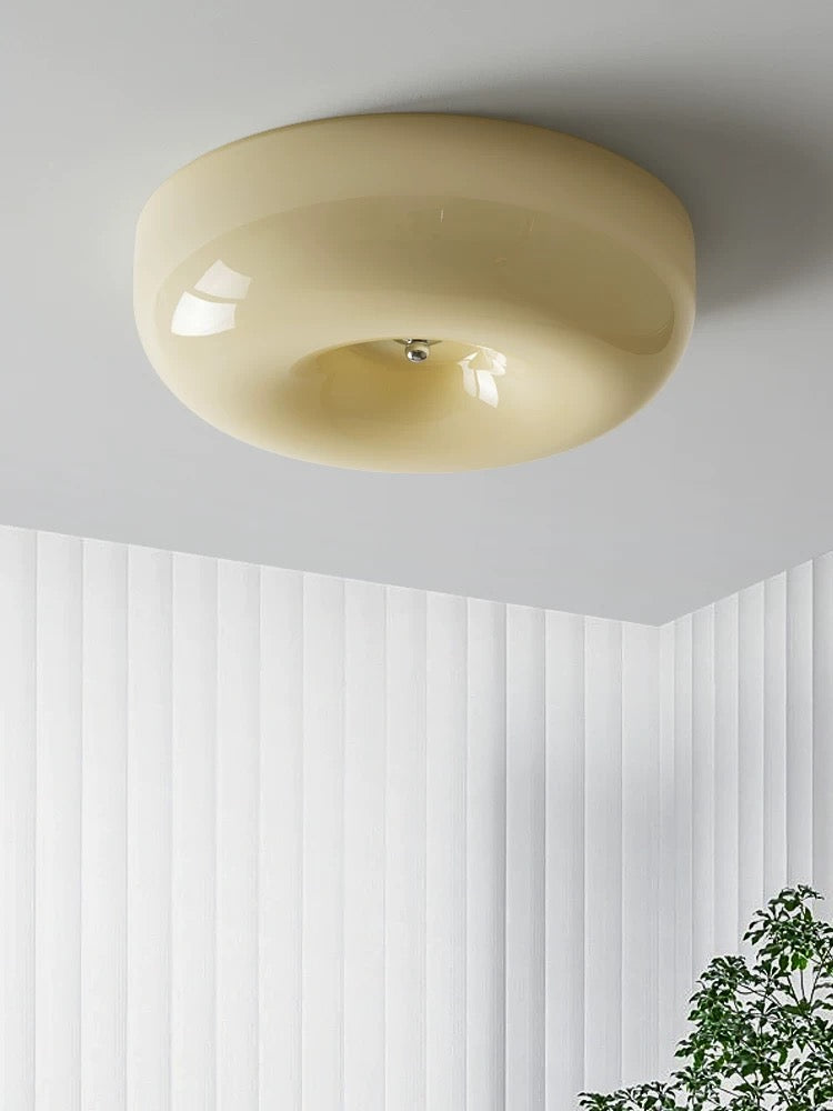 Ceiling light fixture in a room with white walls and a plant corner.